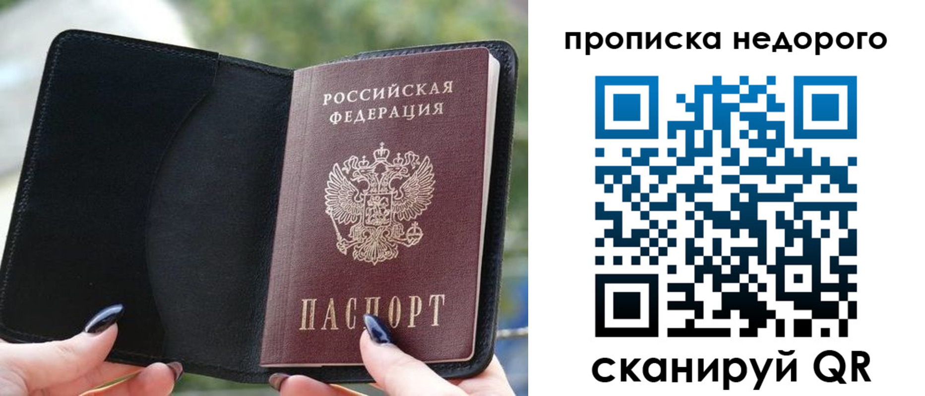 временная регистрация поиск в Павловске